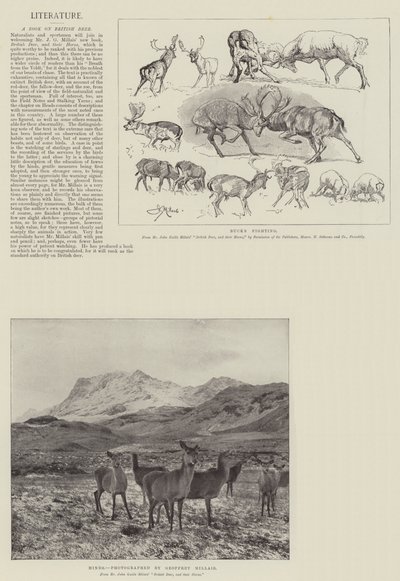 A Book on British Deer by John Guille Millais